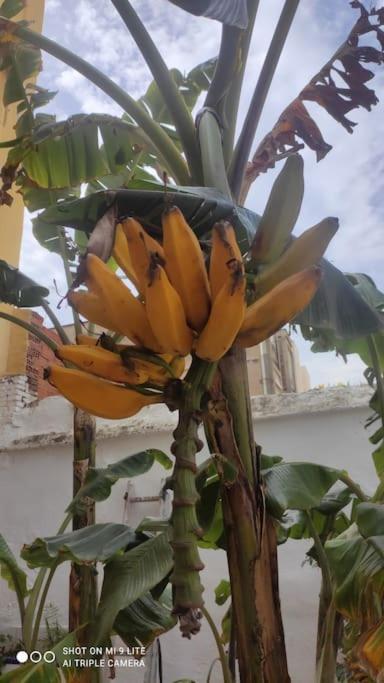 Precioso Apartamento Con A/A En Ruzafa Con Terracita Privada Y Acceso A Un Jardin, Para 2-3 Personas Valencia Exteriör bild